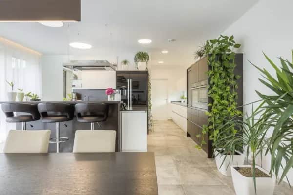 Innenarchitektur für helle Wohnräume in Wien